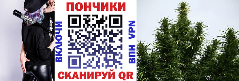 Продажа наркотиков Купино Канабис A-PVP Гашиш Меф