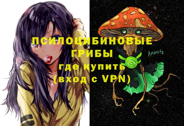 тгк Богданович