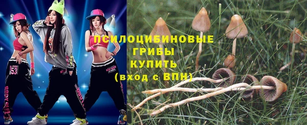гашиш Богородск