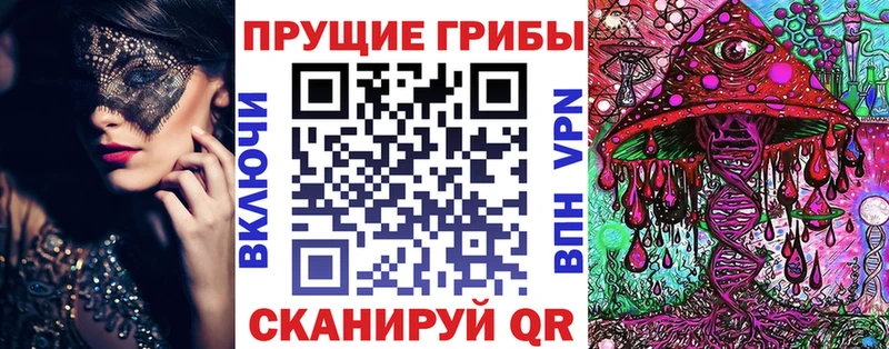 гидра ссылка  даркнет сайт  Купино  Псилоцибиновые грибы мицелий 